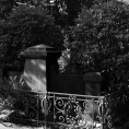 Schwarzweiß-Film-Foto eines Grabs mit schmiedeeisernem Zaun