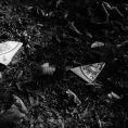 Schwarzweiß-Film-Foto von kaputten alten Fliesen mit Frauenmotiven