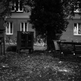 Schwarzweiß-Film-Foto des Kreisels mit Bänken und Bücherschränken in der Lutherstraße