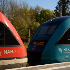 Zwei gekoppelte Z&uuml;ge am Gleis in Neustadt