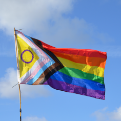 Eine progress pride flag