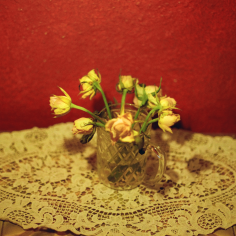 Farbfilmfoto von kleinen cremefarbenen Rosen in einem Glas auf einem alten wei&szlig;en Spitzendeckchen